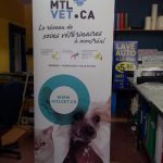 Économique